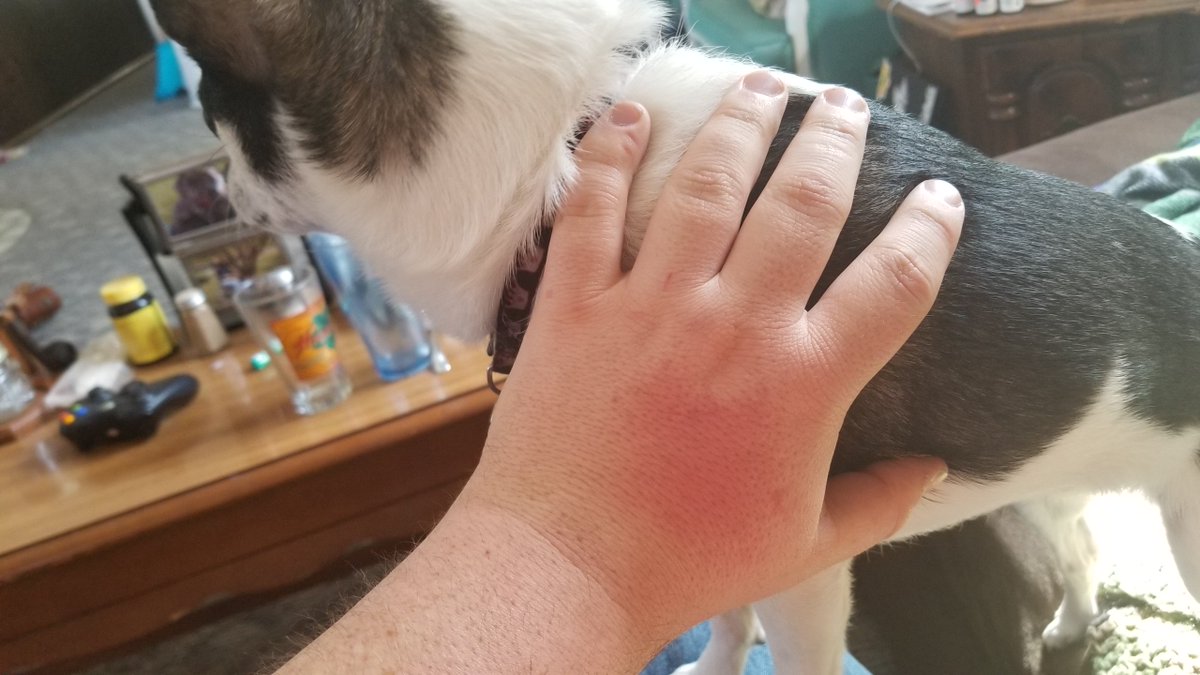 TheRealJoemakes's tweet image. Sunburnt my hand sunday #welding, but finished my #bashbar, next weekend I start painting

#s13 #hatch #rb20 #drifting #garagelife