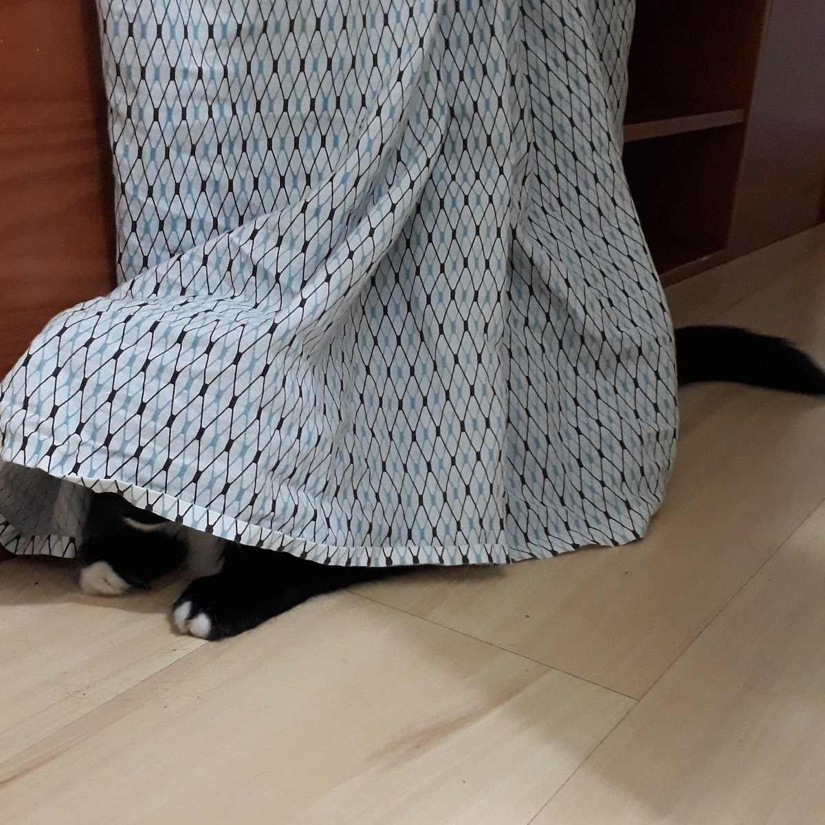 thecatfloor's tweet photo. Playing hide &amp; seek with daddy.  Poor daddy will never find me!  🐱😁
.
@iamthemuff @curiouszelda @natasha_tuxedo @meowkittything @millymoosthecat @lucytuxedo @TheHardyBoyCats @TheGreatFuzzCat @Fiddle_Pub_Cat @PhoebeAndSelene https://t.co/hWxesCdNLe