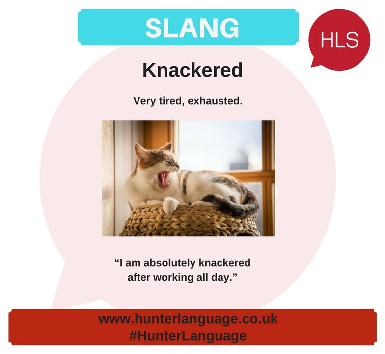 hunter_language's tweet photo. Hunter Language School Slang of the Week: Knackered
#slangoftheweek #britishslang #learnenglish #englishslang #bristol #speakenglish #HunterLanguage #HLS #WeAreHLS https://t.co/8me5l9TDZS