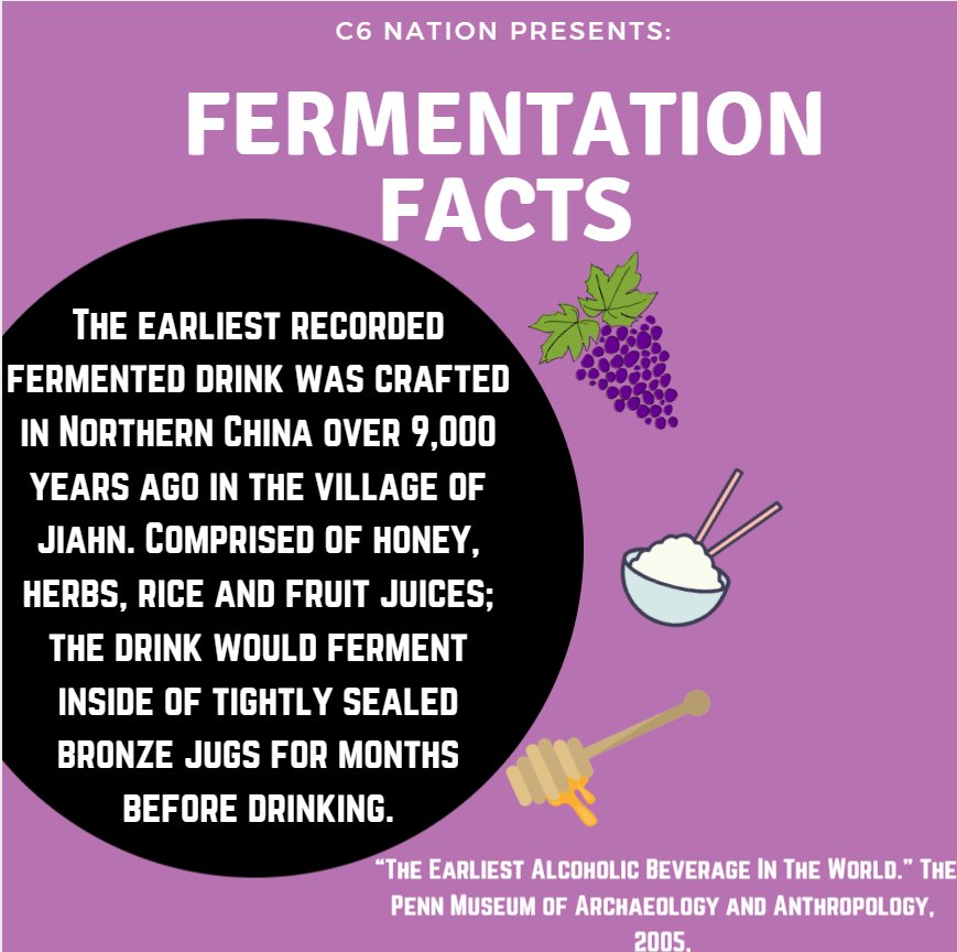 C6Nation's tweet photo. Good morning all! Ready for the second installment of Fermentation Facts? 
#newfairfield #digitalacademy #expofest #theanemoi https://t.co/xkCoRDic1N