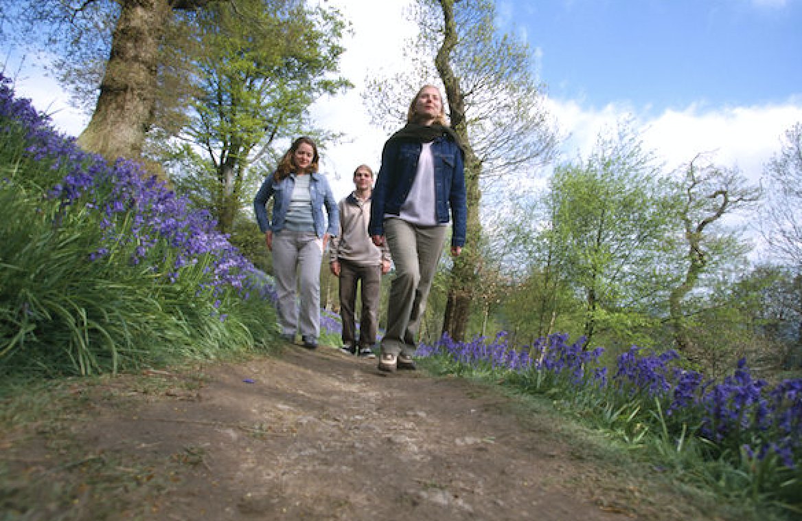 TyperWyper's tweet photo. Be amid the bluebells: beautiful walks - free! https://t.co/du29CA2A9l #bluebells #NationalWalkingMonth #mayday #spendlesslivemore https://t.co/ZiBORRmANK