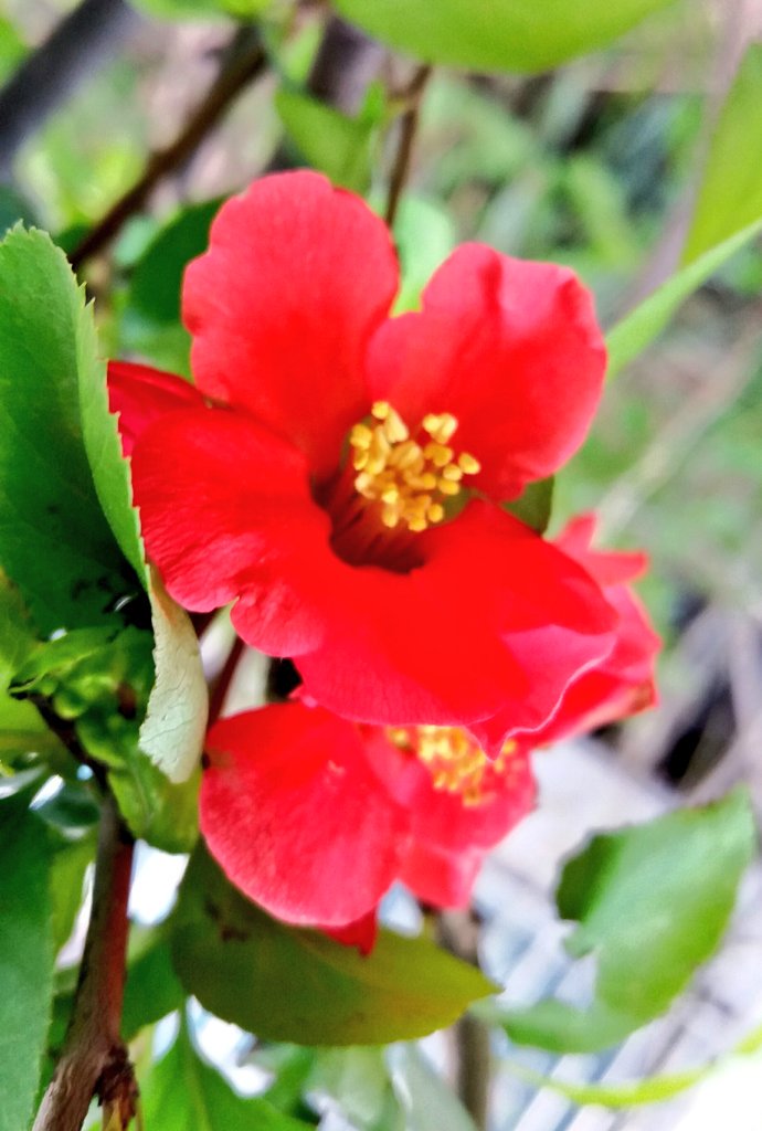 환한달 뜨면 커피 마시고
너와 함께 밤을 지세고 싶다
나무도 꿈꾸는 밤

아파트에 공중부양 하듯 앉아 
양탄자 를 타고 과거로 간다 
잘 지내려나 한때의
아름다운 날들이 

가을 철새들 
하늘에 떠오르듯 기억에 
떠오르고 아쉬운 마음만 가득
내몸 어딘가를 
헤집으며 채운다
....