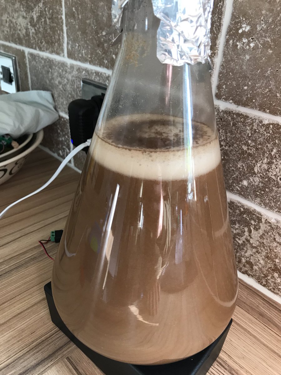 HowbeckAles's tweet image. Happy Czech yeasties this morning.