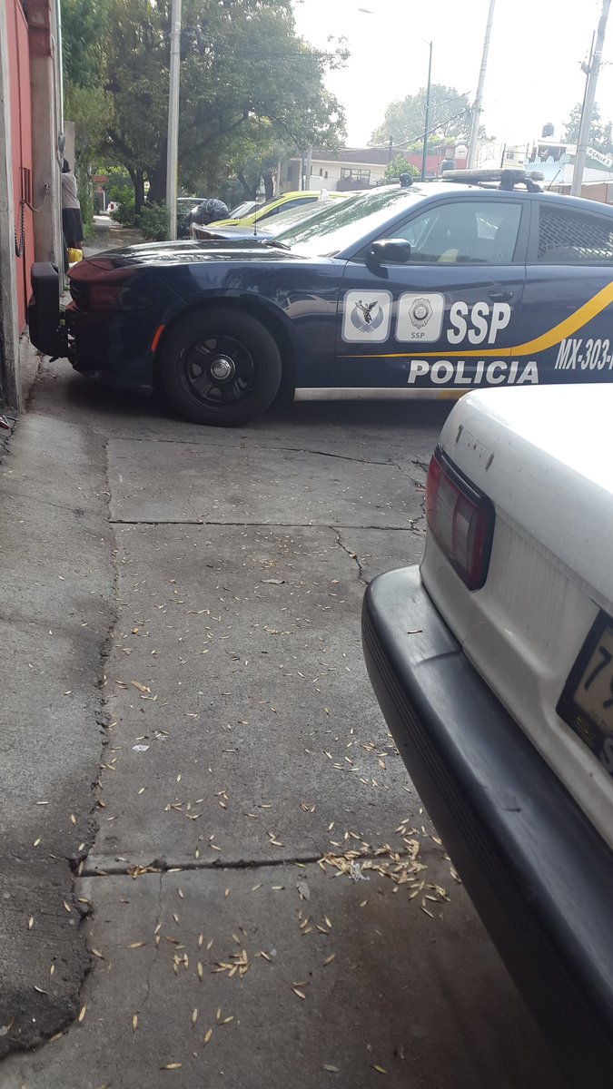 DonAzcapo tweet media