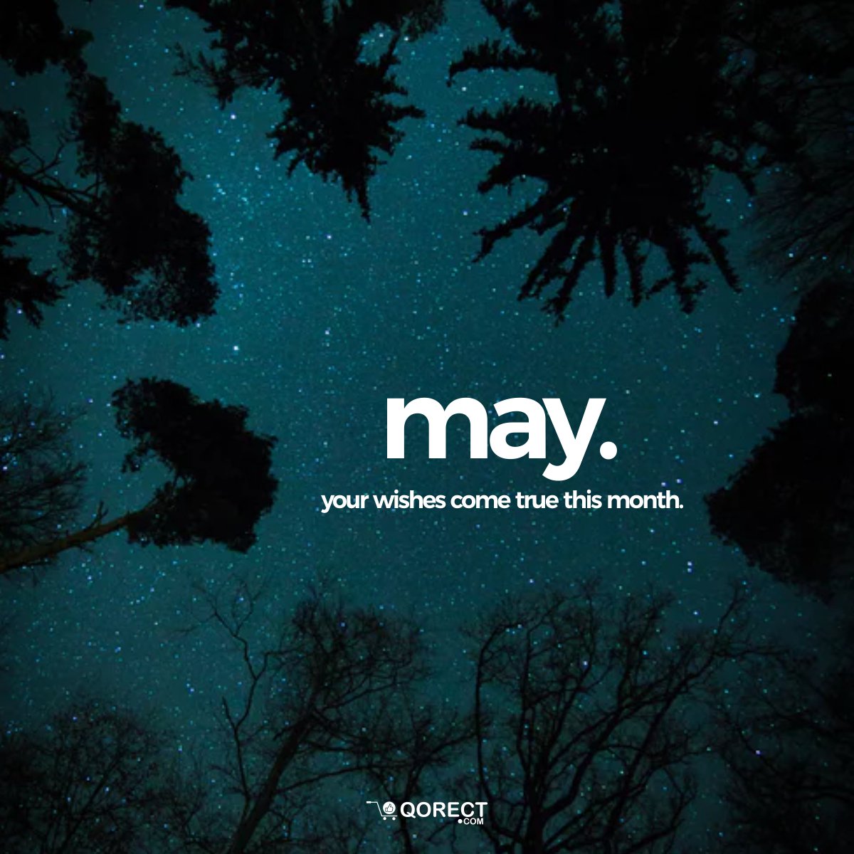 QorectShop's tweet photo. Happy New Month to all our followers!
May this month bring all that you wish for and more.
#may #mayday #may1st #holiday #tuesday #goodvibes #wish #fun #happy #starry #beautiful #serene #summernight #summer #nigeria #random #inspiration #motivation #photooftheday #love #qorect https://t.co/vF0HmZXIGr