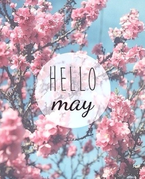 Finally it's May! We're all dying for some warm weather - any excuse to throw open the office windows! #may #spring #1stofmay