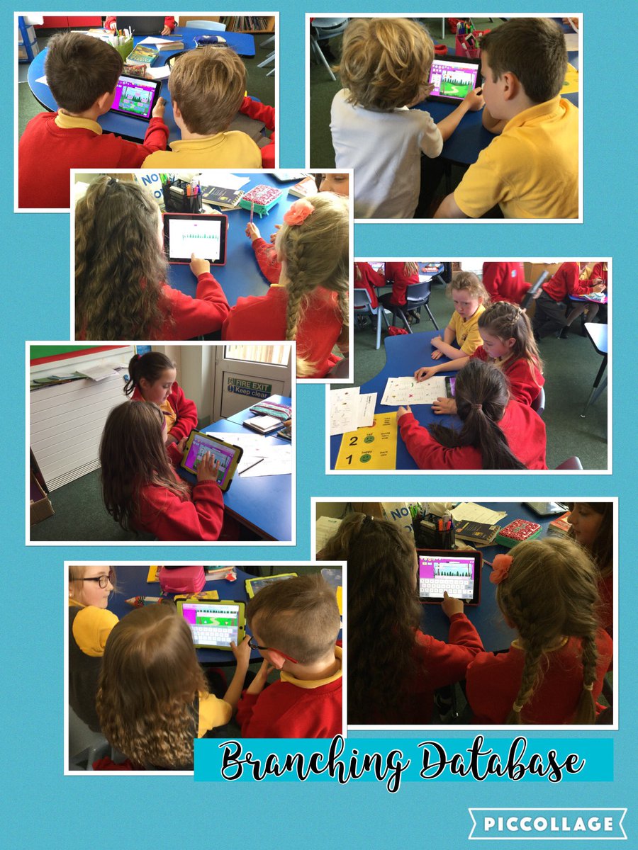 Dosbarth4's tweet photo. @Dosbarth4 creating branching databases to classify a variety of mini beasts #j2data #branchingdatabase #science https://t.co/2luIQez1te