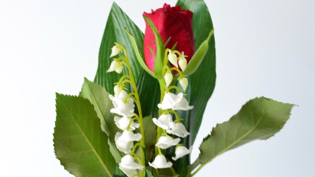 CARLIERIngrid's tweet photo. Fête du travail, #1ermai , #muguet , #jourferie ... une belle journée porte bonheur 🍀 https://t.co/J92JmEzRKa