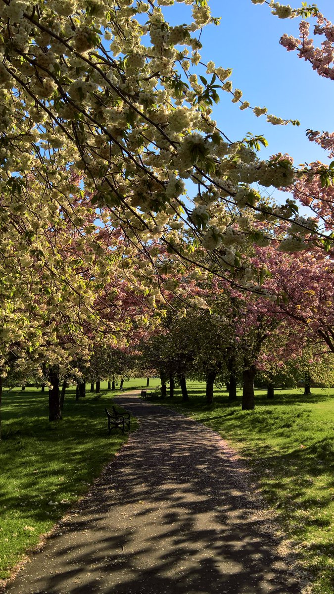 PhilBurkett's tweet photo. Good morning #Eltham
'Spring in the air
There's magic everywhere
When you're young and in love'
@SEninemag @ThisisEltham @ElthamArts https://t.co/JZ0jyEHMqf