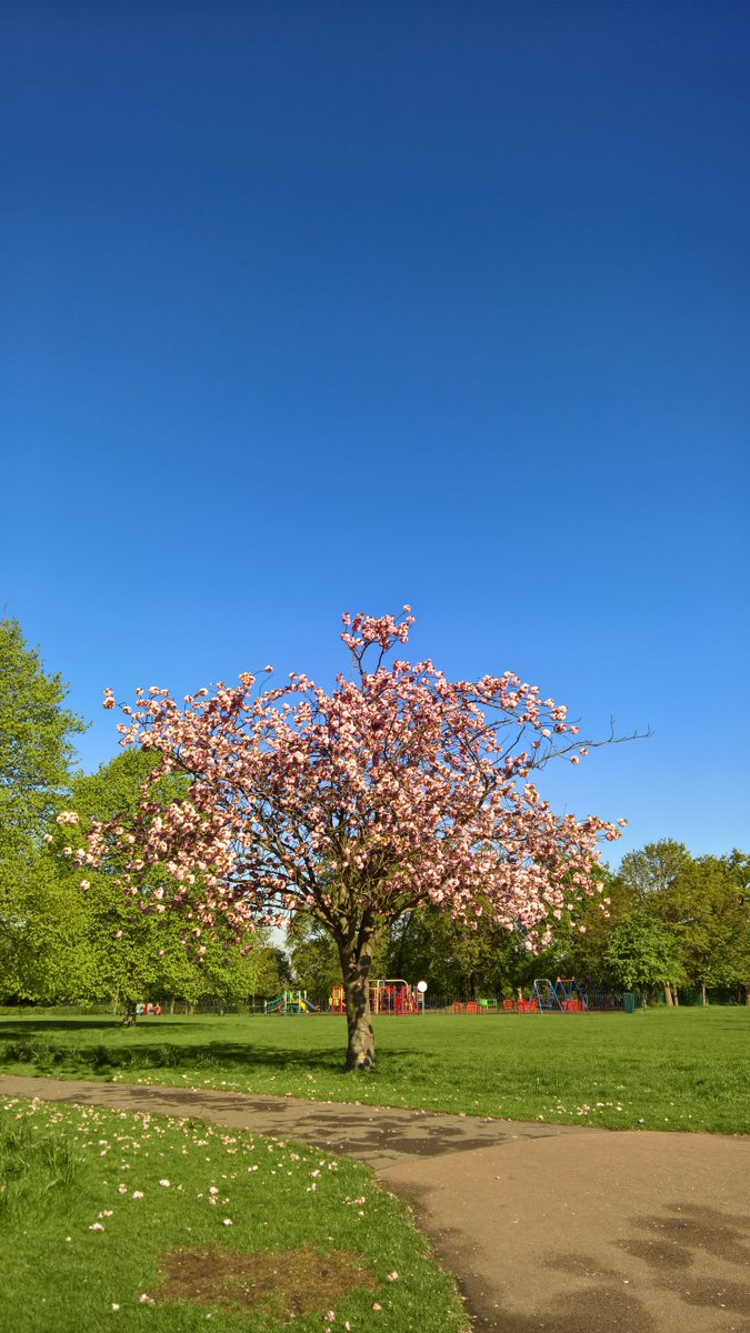 PhilBurkett's tweet photo. Good morning #Eltham
'Spring in the air
There's magic everywhere
When you're young and in love'
@SEninemag @ThisisEltham @ElthamArts https://t.co/JZ0jyEHMqf