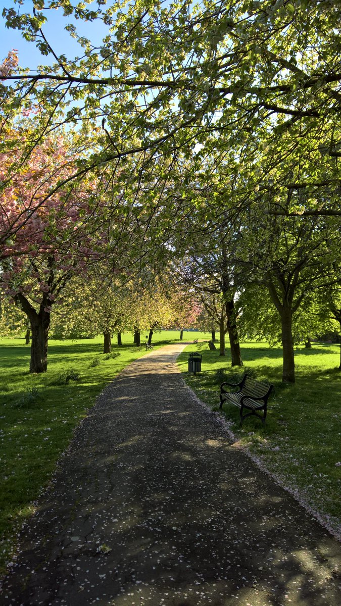 Good morning #Eltham
'Spring in the air
There's magic everywhere
When you're young and in love'
<a href="/SEninemag/">SEnine Magazine</a> <a href="/ThisisEltham/">This is Eltham</a> <a href="/ElthamArts/">Eltham Arts</a>