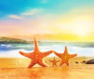 YouTube ☀️ #ibiza adasında #flamingo koruma alanının sorunları.. <a href="/izmirturizm/">IZMIR ve TURIZM</a> @izmirajanda <a href="/visit_izmir/">Visit İzmir</a> <a href="/izmirgundemcom/">İzmir Gündem</a> <a href="/DogaDernegi/">Doğa Derneği</a> <a href="/ege_cevre/">Ege Çevre Topluluğu</a> <a href="/CevreciEtkinlik/">Çevreci Etkinlikler</a> <a href="/cevreadaleti/">Cevre Adaleti Atlası</a> <a href="/dergisuryasam/">Surdurulebilir Yasam</a> <a href="/dogalhaber/">Doğal Haber</a> #TagMedya youtube.com/watch?v=RsEOHN…