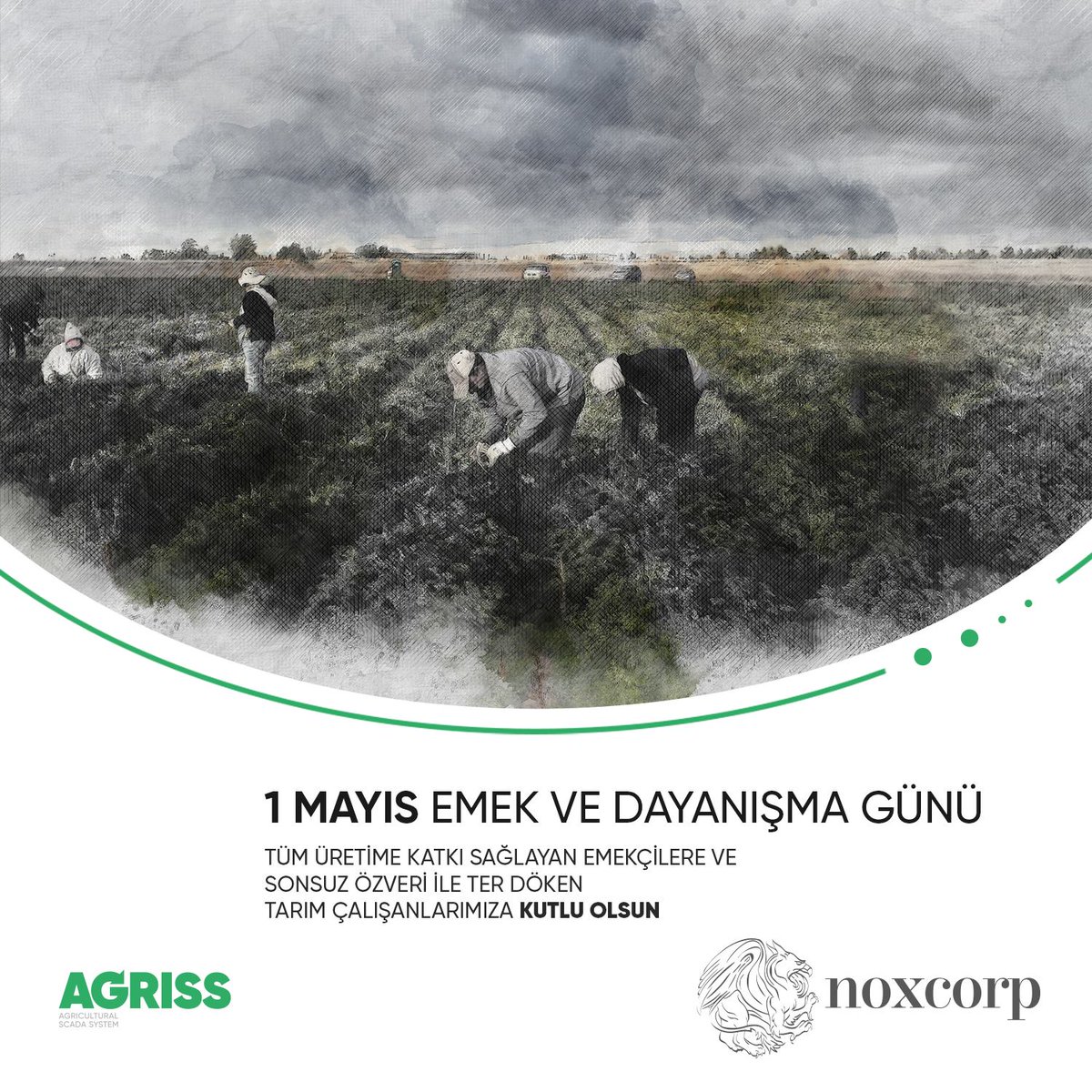1 MAYIS EMEK VE DAYANIŞMA GÜNÜ;
Tüm üretime katkı sağlayan emekçilere ve sonsuz özveri ile ter döken tarım çalışanlarımıza kutlu olsun. #Emek #Tarım #1MAYIS