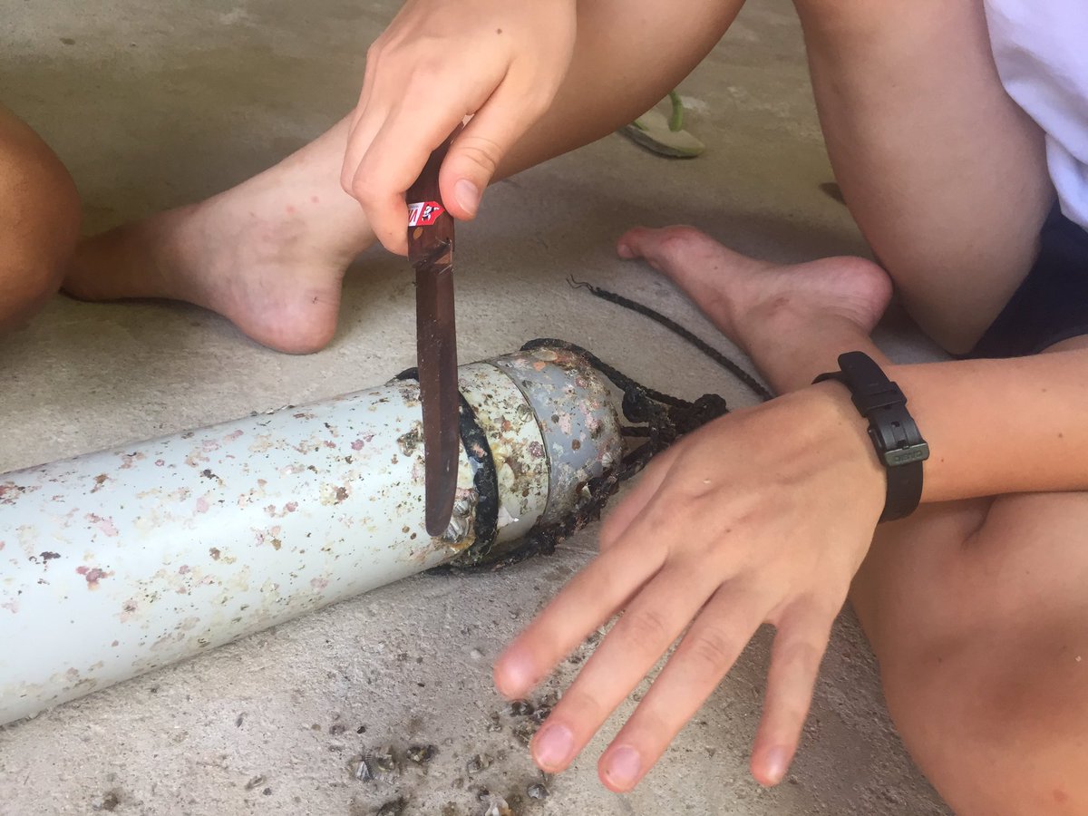 Just before lunch, Sarah and Gaby went out to collect our C-POD (type of hydrophone), which has been out on its test run. Now Neyda and Gaby are clearing it of barnacles, before we can look at the data! #marineconservation #cpod #dolphinproject