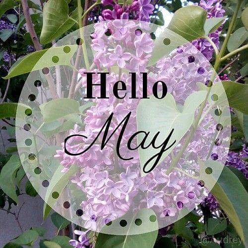 MAY has arrived! Excited for the warmer days ☀️and new beginnings🐥! #MayDay #TuesdayThoughts #Admin #networking