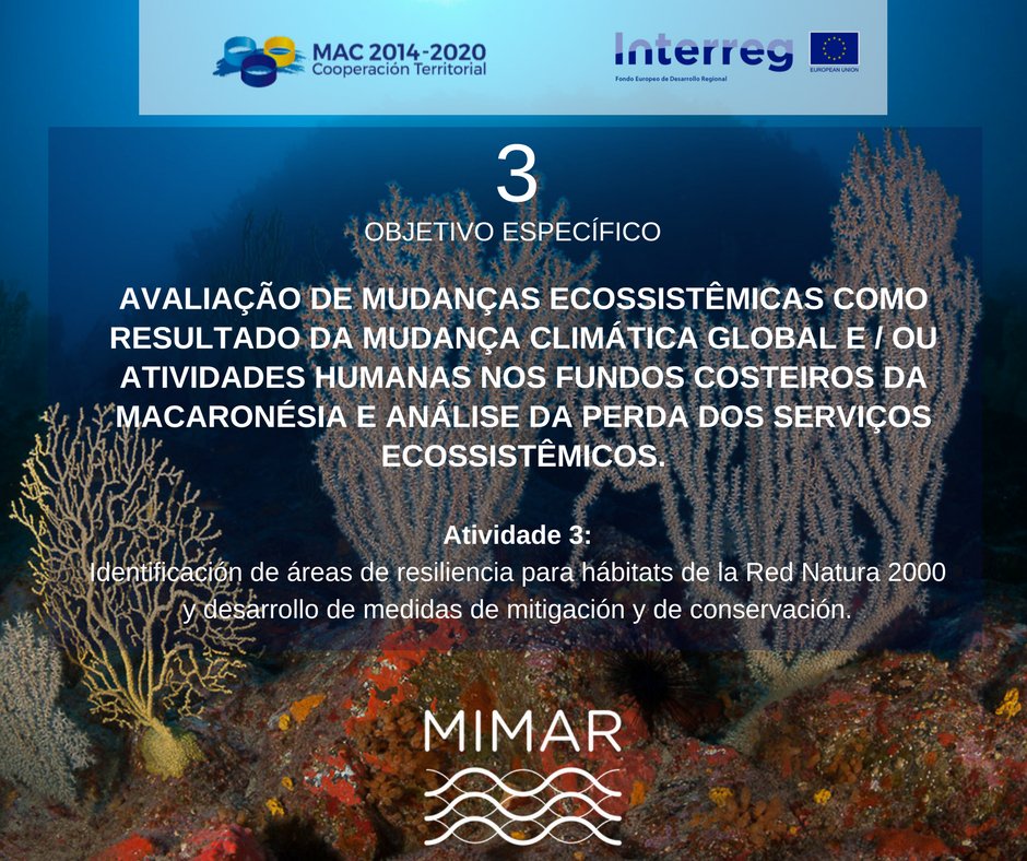 ProyectoMimar's tweet photo. #MIMAR evalúa los cambios ecosistémicos como consecuencia del cambio climático global y de la actividad humana en fondos costeros. @territoriocan @ProyectoMimar @INTERREGMAC @INTERREGTweets https://t.co/CPHdL0rFDK