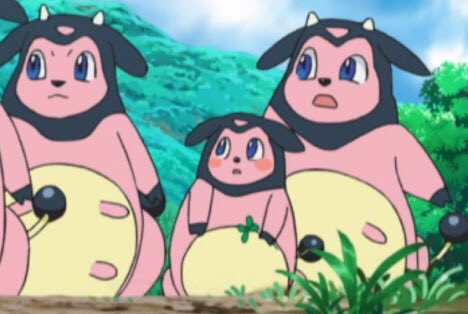 いろいろ ミルタンク 進化 ポケモンの壁紙