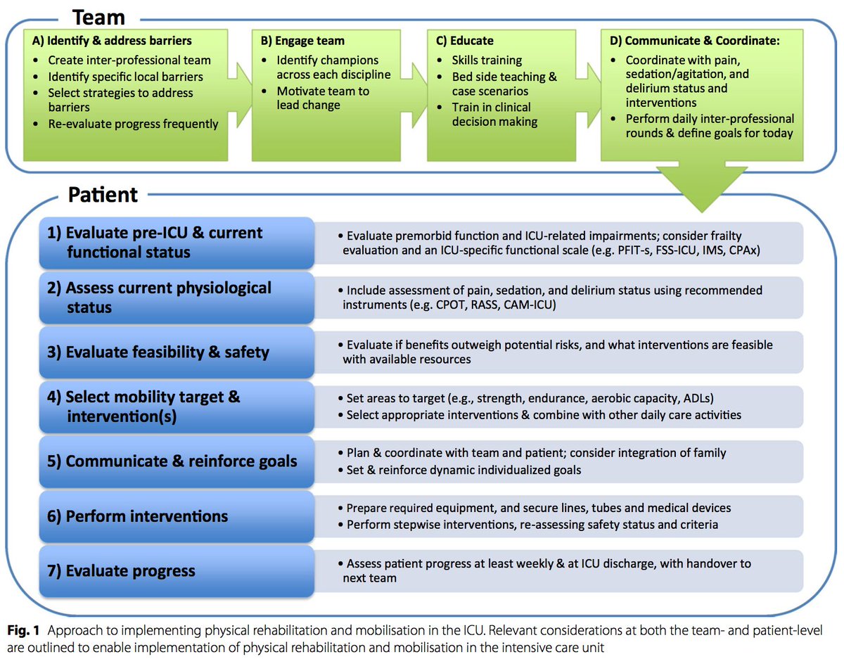Implementing early physical rehabilitation and mobilisation in the ICU: institutional, clinician, and patient considerations. Thank you  <a href="/selina_parry/">A/Prof Selina Parry</a> <a href="/DrDaleNeedham/">Dale Needham, MD, PhD</a> for being in the team link.springer.com/article/10.100…