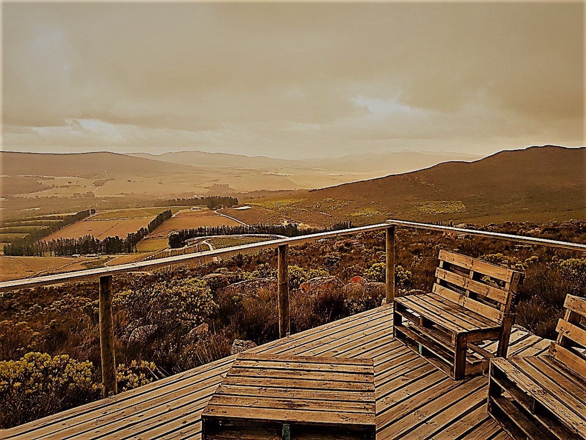 winevillage's tweet photo. Feeling Sheepish? Join the @winevillage team this May for an short introduction as to how you grab a #CabFranc by the wool. @hpf1855 #SwartSkaap on promo this month. #SA_CabFranc #localislekker #WeDoTourism #Sondagskloof https://t.co/CgzWGsRXQc