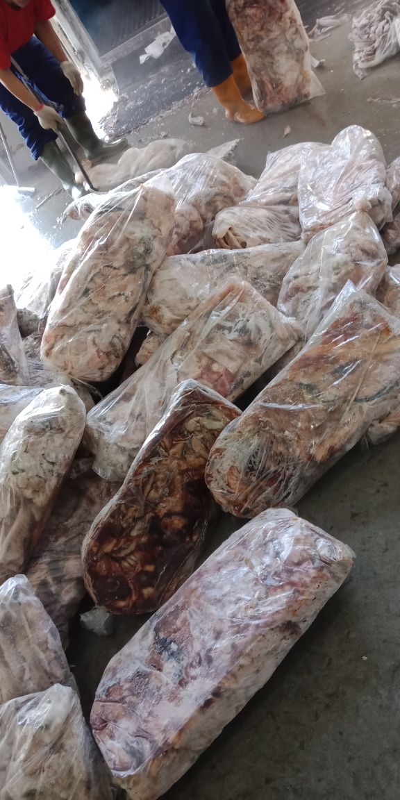 WilkerBenoa's tweet photo. 01/05 #OneHealthKIPM
Pengawasan Stuffing Domestik Keluar di Pelabuhan Benoa. PT. Intimas Surya Komoditi : Frozen Tetelan Tuna, Frozen Marlin, Frozen Kakak Tua 1 Thermoking 🚛 Tujuan Muara Baru-Jakarta Utara (17132.2kgm)  by @bkipmdenpasar @wilkerbenoa @HumasBKIPM @rinajanwar2201. https://t.co/Pban9VhD16