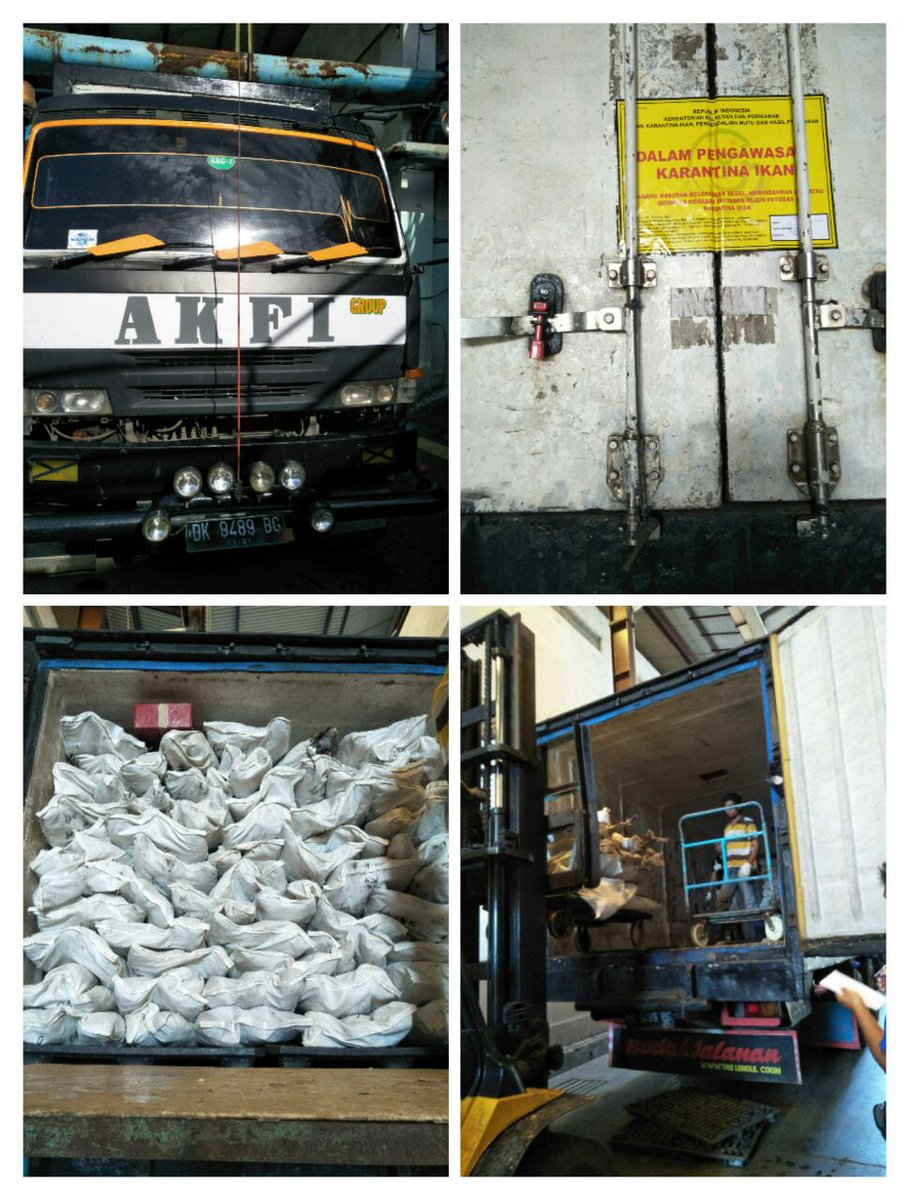 WilkerBenoa's tweet photo. 1/05 #OneHealthKIPM
Pengawasan Stuffing Domestik Keluar di Pelabuhan Benoa. PT. AKFI Komoditi : Ikan Jahan Beku 2 Thermoking 🚛 Tujuan Muara Baru - Jakarta Utara dan Ikan Lencam Beku 1 Thermoking 🚛 Tujuan Lamongan.   by @bkipmdenpasar @wilkerbenoa @HumasBKIPM @rinajanwar2201. https://t.co/FL8muTVp5T