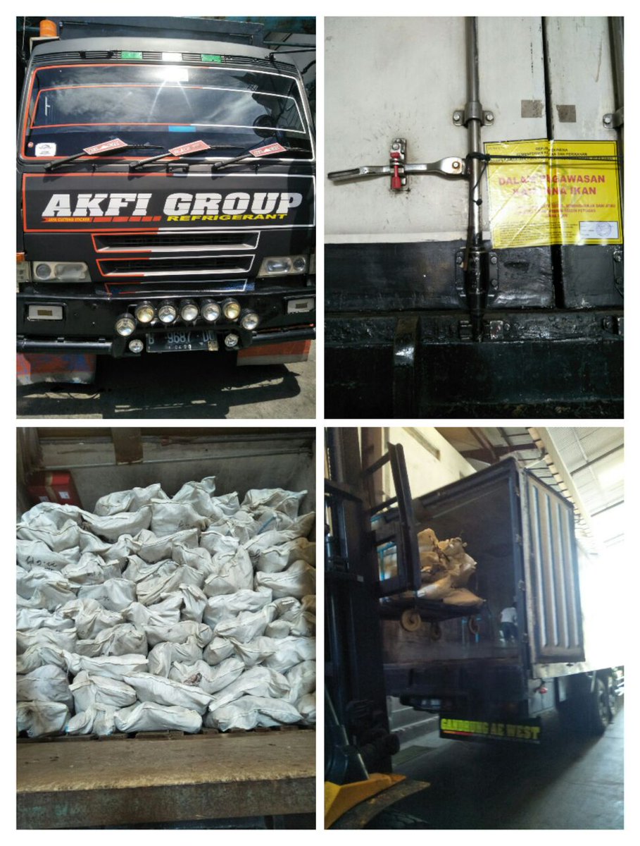 WilkerBenoa's tweet photo. 1/05 #OneHealthKIPM
Pengawasan Stuffing Domestik Keluar di Pelabuhan Benoa. PT. AKFI Komoditi : Ikan Jahan Beku 2 Thermoking 🚛 Tujuan Muara Baru - Jakarta Utara dan Ikan Lencam Beku 1 Thermoking 🚛 Tujuan Lamongan.   by @bkipmdenpasar @wilkerbenoa @HumasBKIPM @rinajanwar2201. https://t.co/FL8muTVp5T