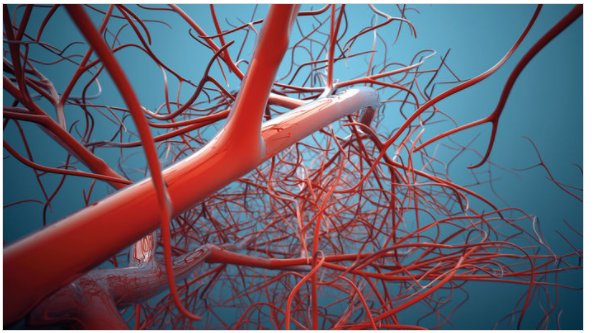 NatRevMater's tweet photo. How to create blood vessels on a chip for long-term culture? Check out our new Research Highlight ‘Eternal blood vessels’ @NatRevMater discussing the microvasculature-on-a-chip system by @WilburLam @GeorgiaTech published in @natBME https://t.co/Ayqeh1mjNt https://t.co/NQHPvb6cmF