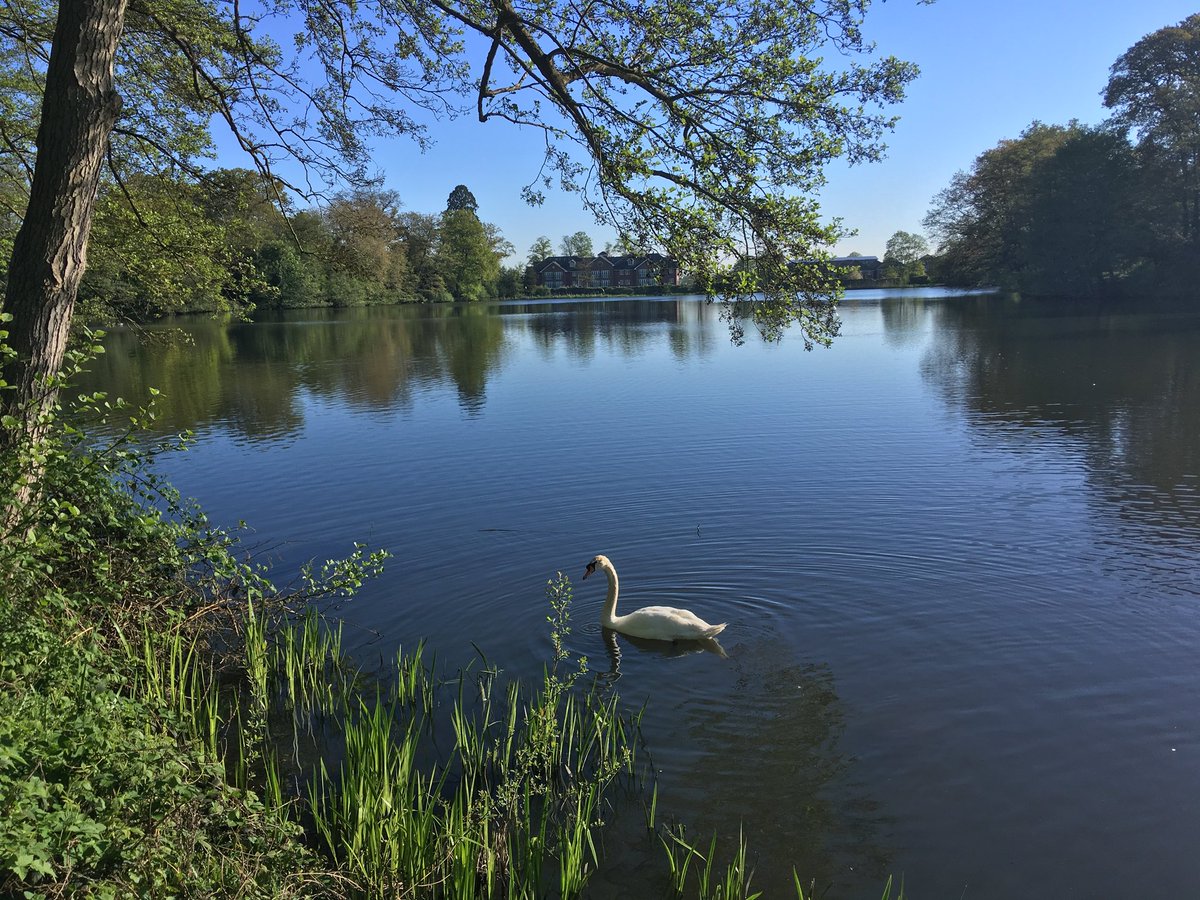 BenDavisWeather's tweet photo. @UniofReading campus looking stunning on the morning of my last ever exam! #AlmostThere https://t.co/gUUpqsS4u0