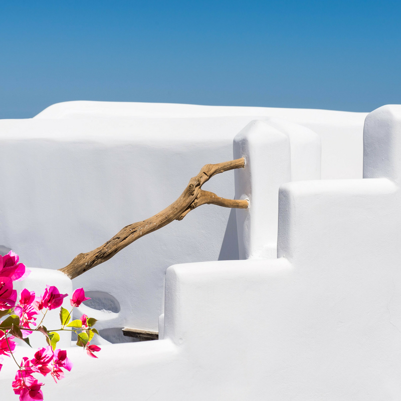 hipgreece's tweet photo. Hello May!🌺#may #spring #greece #Πρωτομαγια https://t.co/JhR4cYW8xH