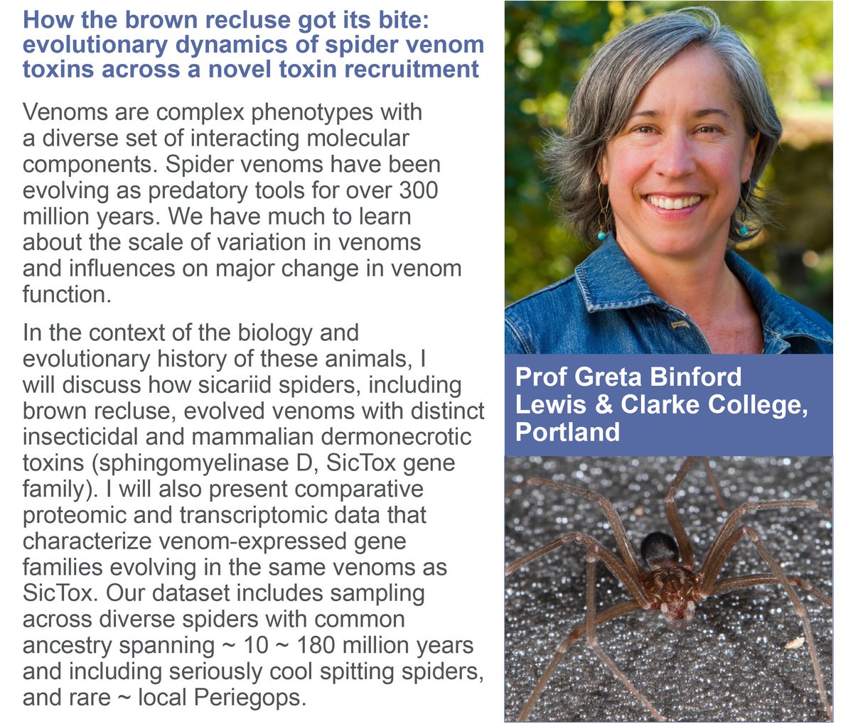 VenomsLab's tweet photo. Looking forward to the talk by @gretabinford this Friday in the #UQ School of Biological Sciences on the evolution of dermonecrotic toxins in #RecluseSpiders. Recluse spiders and their close relatives are the ONLY spiders proven to cause necrotic lesions. https://t.co/ch2ytsL8fA