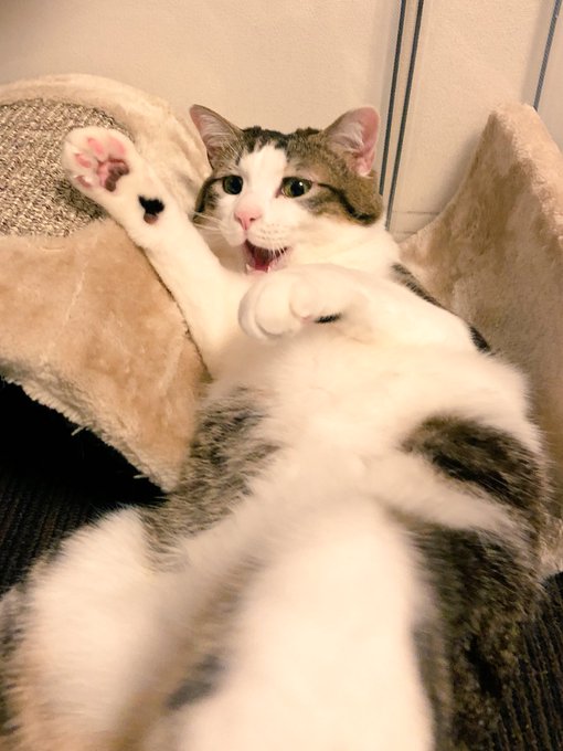 真希 高画質 のtwitterイラスト検索結果 古い順