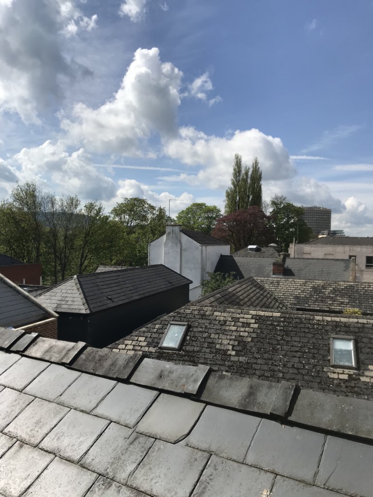 property_ready's tweet photo. Cat on a hot tin roof today , knackered sash but Si will deal with it ! A flaff lugging my stuff about and no parking 🙈. Nice view over Cheltenham and no rain Hooray #bluesky #3storey #sash https://t.co/0uwEnN3z6o