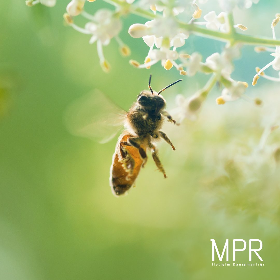 Baharın ve emeğin bayramı 1 Mayıs kutlu olsun! #Yasasın1Mayıs