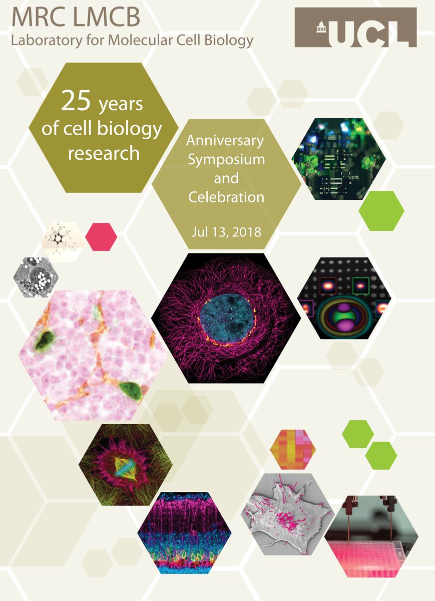 LMCB_UCL's tweet photo. Calling out to @MRC_LMCB Alumni! Celebrate our 25th Anniversary with us! We're hosting a Symposium and Celebration on Friday July 13. For more info: https://t.co/mbS7zsGgee We hope you can join us on this very special day!
#celebration #cellbiology @ucl_slms @The_MRC https://t.co/tPaGkQoE3B
