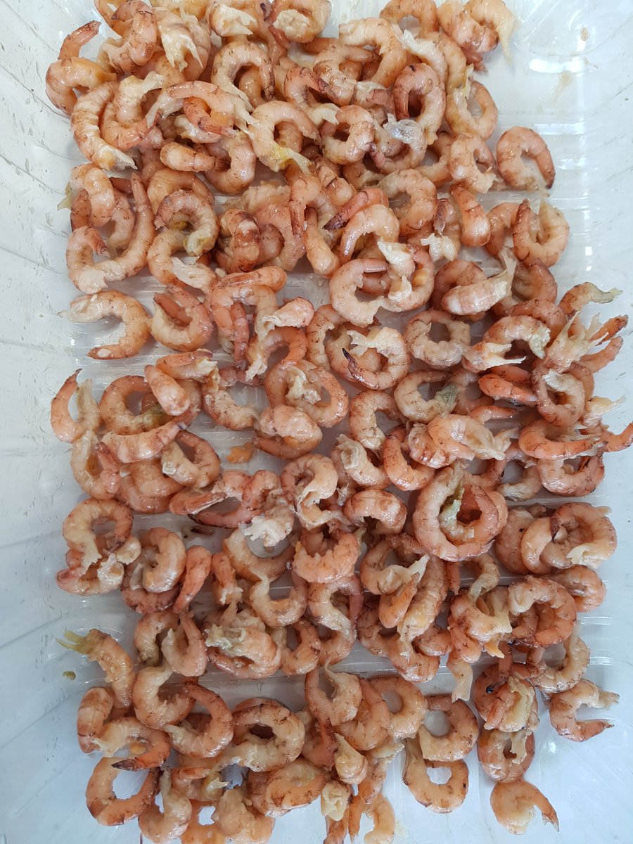 Testen pelmachine 5.0 #dagvers #garnalen #lekker