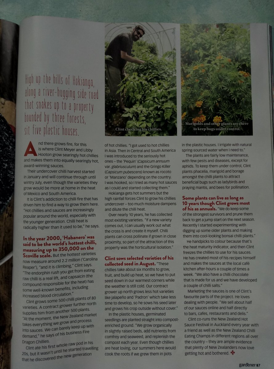 Little piece in <a href="/NZGARDENER/">NZ Gardener magazine</a> magazine this month :) Got to say never thought I'd end up in a Gardening magazine 😂