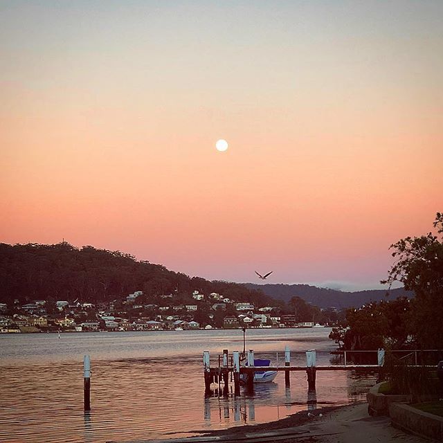 kusashoes's tweet photo. #fullmoon #sunrise. #wakeup #morning #goodmorning #nature. #water #pink #bird #empirebay #beautiful #australia #natural. #pretty. https://t.co/tjwcZO5TMw #kusashoes_, #flipflops, #summer, #fun, #gift, #beach,@kusashoes_#nature #sky #sun #summer #beach #beautiful #pretty #blue #… https://t.co/if5cK6hbZT