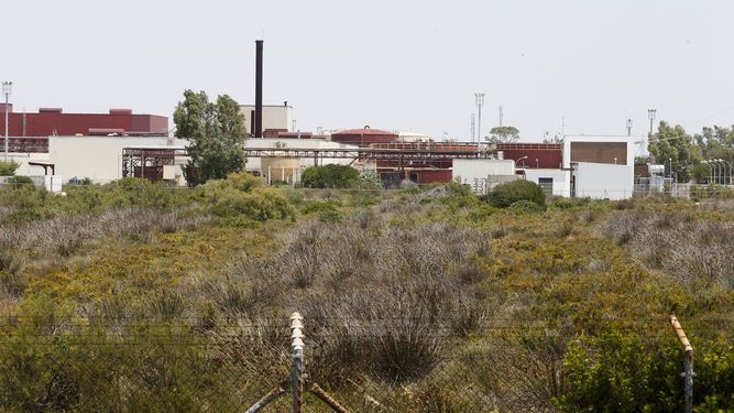 DelphiCadiz tweet media