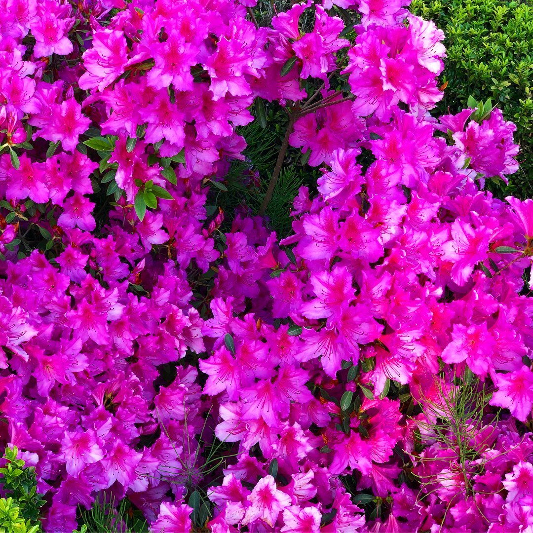 Мария Козлова (@tlichobel87) | Twitter