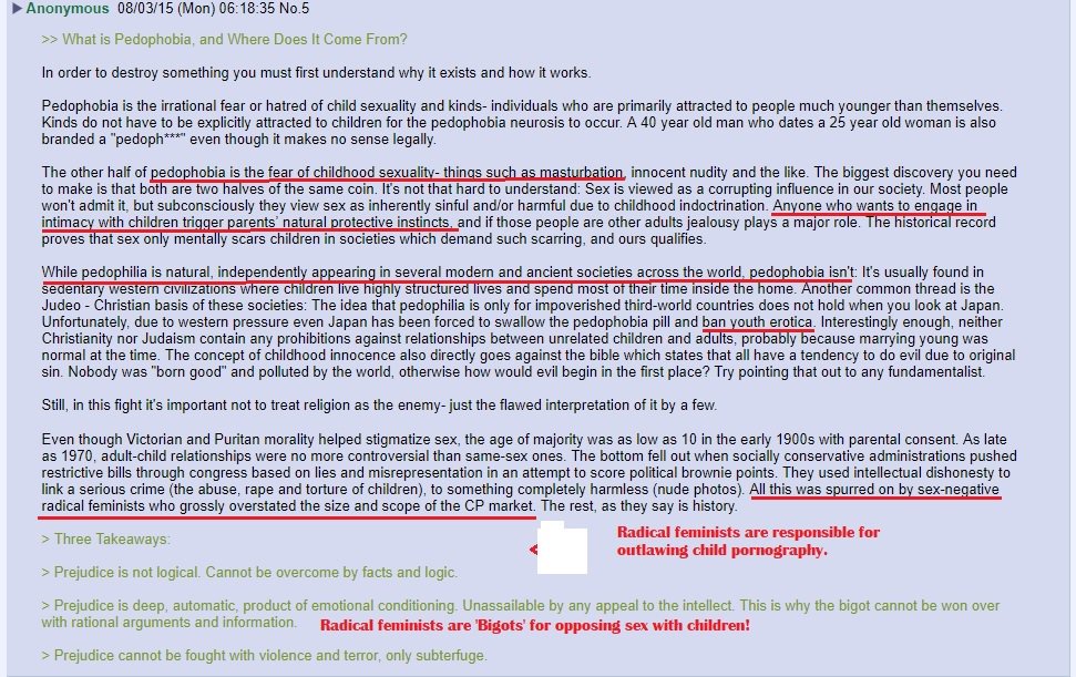 It encourages a long online campaign to shift the language and therefore culture, to demonise Radical feminists so our objections aren't listened to, to recast objections to paedophilia as 'paedophobia' and sex negative.  @SuzzanBlac has been working on similar forums recently