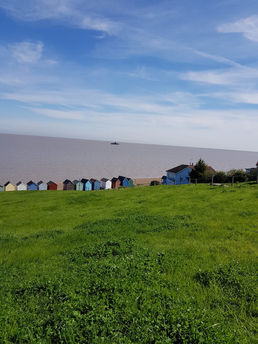 EmilyMa29787961's tweet photo. Feels good to be back in the #sunshine again. #hernebay #dogwalking #working #franksdgcs #dogwalker #dogtrainer #doggroomer 🐶 https://t.co/0WJPLr2wum
