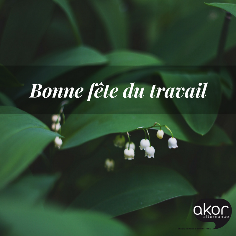 Akor_Alternance's tweet photo. En ce 1er mai, nous vous souhaitons une bonne fête du travail, et reposez-vous bien ! ☺ #FêteDuTravail #TeamAkor https://t.co/drRKHW3Re6