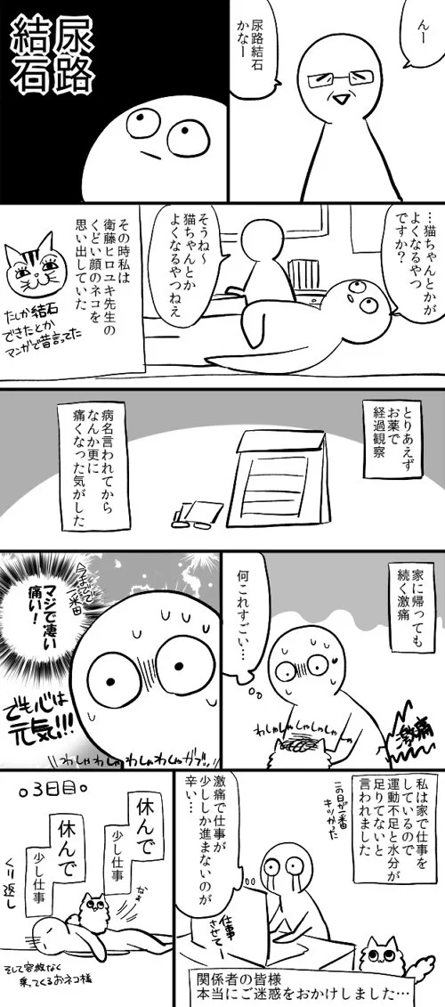 気絶しちゃうぐらい痛い！？夏にかけて多くなる尿路結石に気を付けて！