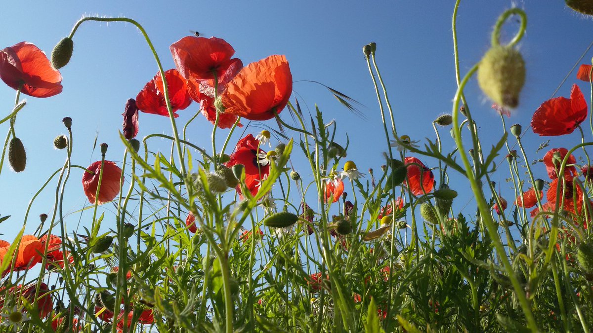 ProLoco_PTolle's tweet photo. Buon primo maggio https://t.co/d0N20MOyDV