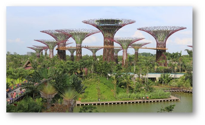 BinLearning's tweet photo. #Singapore #landscape #Metal #Tree #Garden and #aerial #walkup. Wonderful #photography  from #touring https://t.co/H6xNqeL5eE