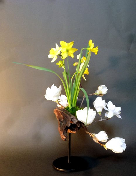 Milletさん 器から考えるいけばな ０円生け花 自作花器 Handmadevase 全方位生け花 庭に咲くこぶしと水仙 昨年台風の海で拾った流木を器として細工 器は生け花表現の多くを占める 水止めはスポンジの上にフレッシュな苔それをテグスで固定