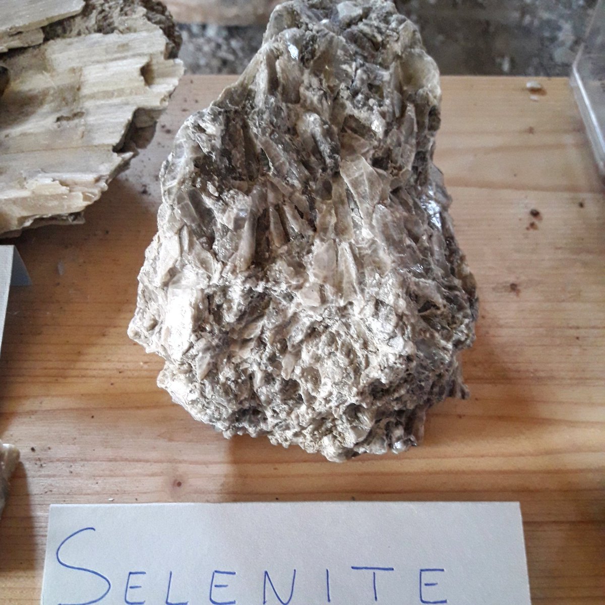 museobotroidi's tweet photo. Sua maestà la Selenite - Geologia da toccare #1Maggio #museivispi #MuseumWeek2018 #differenceMW https://t.co/pSRAtq921L