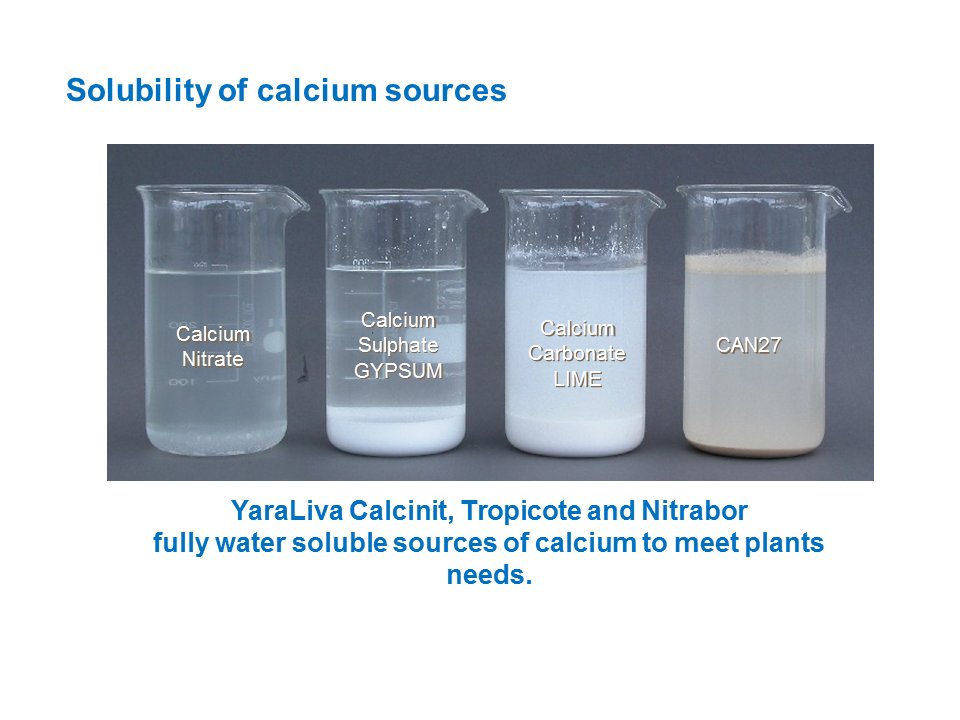 Yara_UK's tweet photo. All sources of calcium are not the same #CalciumNitrate #PreferredChoice #KnowledgeGrows https://t.co/1kPK5EZ4GL https://t.co/VaAjleQMPv