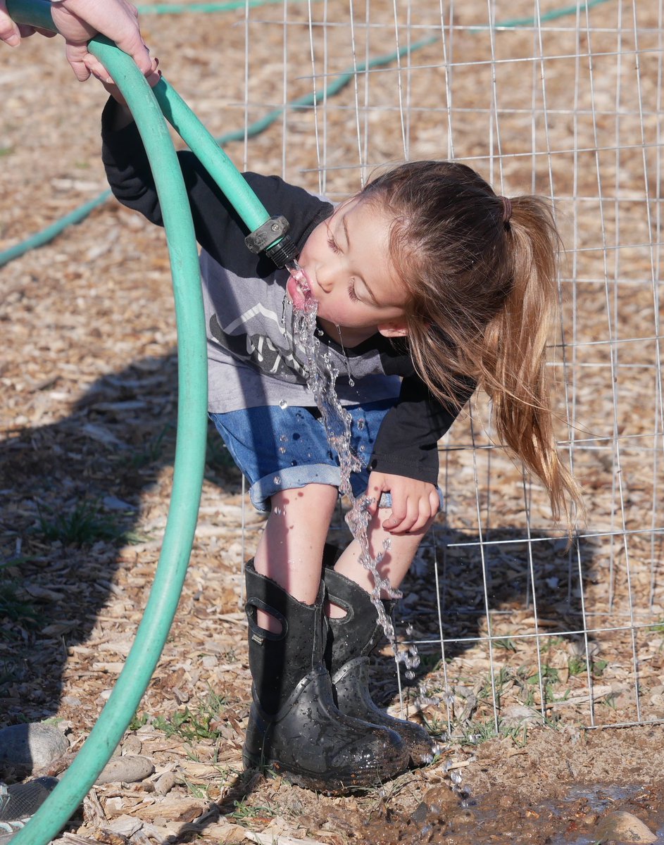 TheDailyRanger's tweet photo. Riverton's walking path along the Wind River is a little more scenic after community members planted more than 20 trees there. Even 3-year-old Ainslee Watson joined in on the shoveling and watering, and needed her own water break after the hard work. https://t.co/LRHqBMalCJ https://t.co/sroOjG4T2X