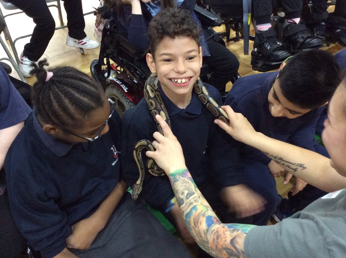 wilsonstfeed's tweet photo. #wsmonkeys showing how brave we can be during our Science/Critical Thinking day! Loving our visit from the animal lady! 🐍 https://t.co/bNYEv3pUL8